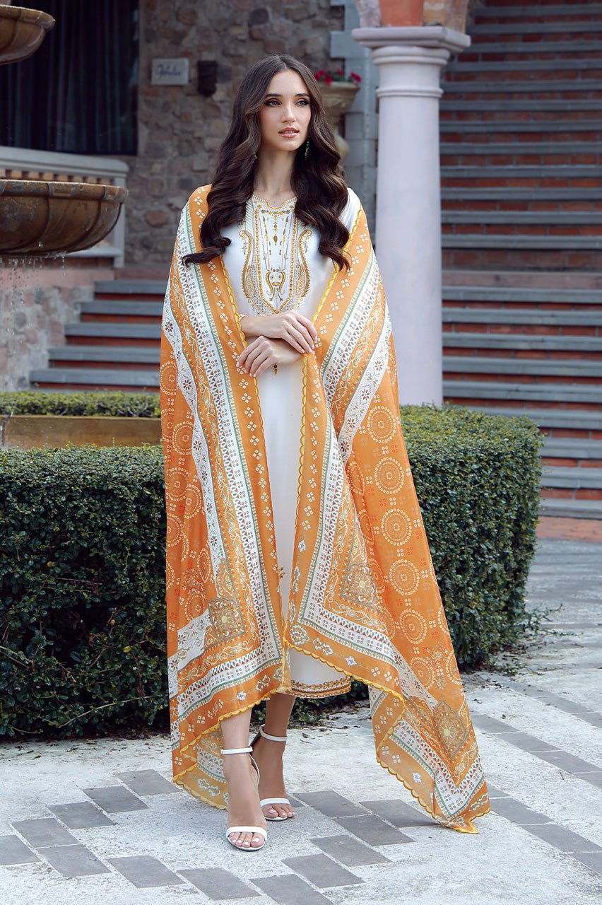 Dilruba – Shamsha Hashwani